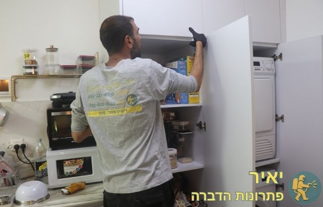 הזרקת פיתיונות ג'ל לנמלים
