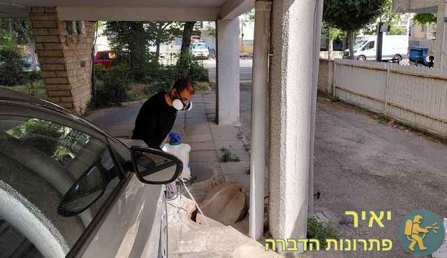 ריסוס ג'וקים בביוב בניין ברחוב קרן היסוד קרית ביאליק
