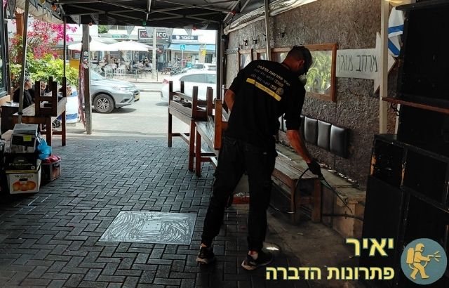 ריסוס חרקים בפאב בחיפה
